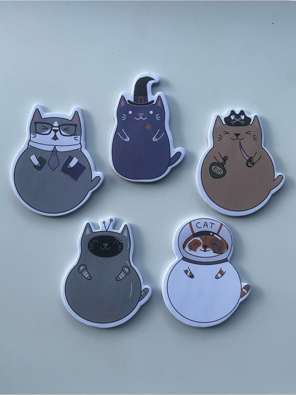 5 Pc Cat Sticky Notes Set